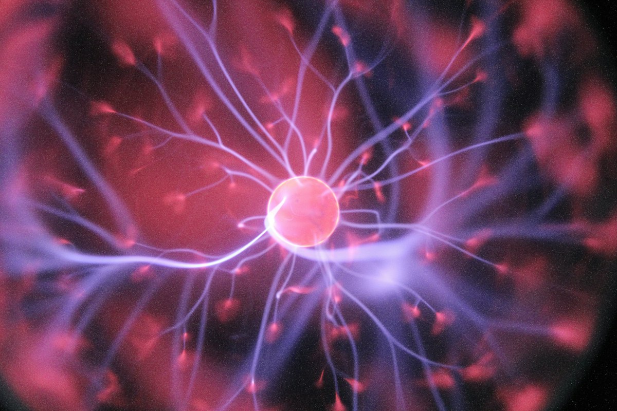 The Biological Soul: Human Nature Decoded | Robert Sapolsky Series